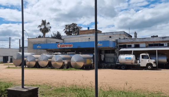 Thumbnail for Strauss Group to unveil new CowFree product line