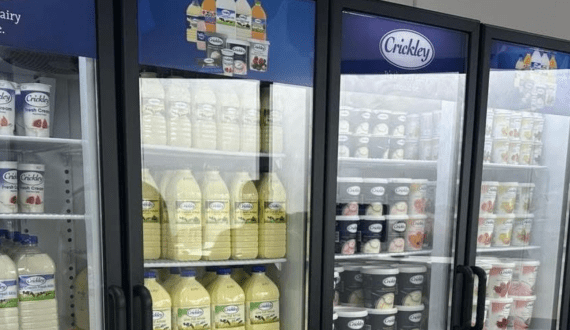 Thumbnail for NSF awards Novonesis funding to advance cell-free biomanufacturing of HMO