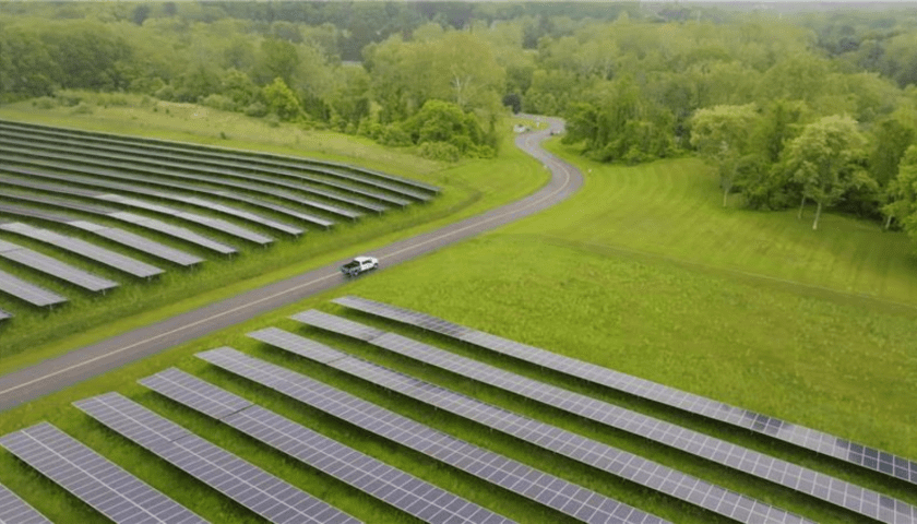 Thumbnail for dsm-firmenich reaches 100% renewable electricity milestone