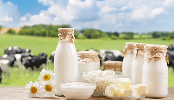 Thumbnail for Algae grown on dairy effluent cuts mineral fertiliser use by 25% – scientists report