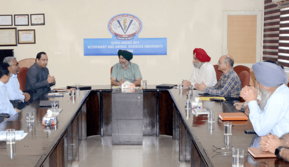 Thumbnail for Nigerian government unveils livestock investment master plan to drive national prosperity