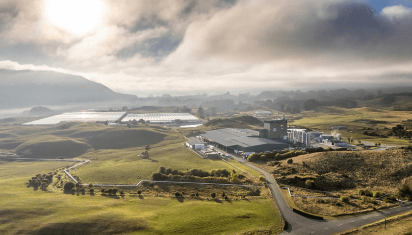 Thumbnail for Open Country Dairy acquires 100% of Miraka Company