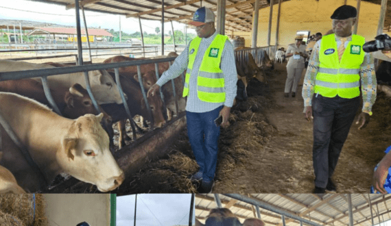 Thumbnail for Africa’s skim milk market to reach US$5.7B by 2035 – Index box