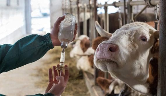 Thumbnail for Yoplait Liberté Canada appoints Claire Bara as CEO