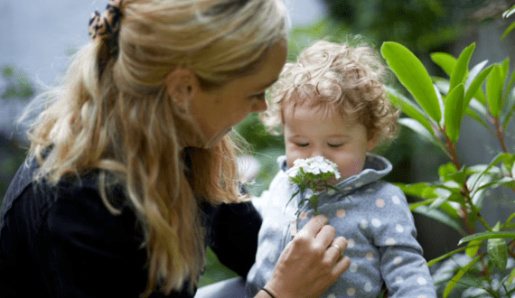 Thumbnail for Aflatoxin alert: CS Kagwe links feed quality to export viability