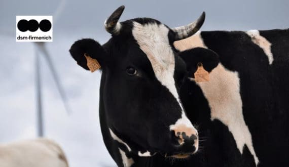 Thumbnail for Danone, TNC advance methane reduction amid global dairy challenges