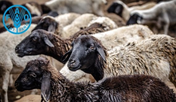 Thumbnail for GEA Group restructures Executive Board amid extending CEO contract  