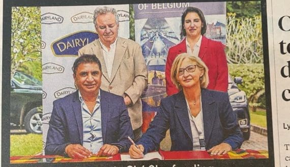 Thumbnail for Galaxy expands dairy-free range with festive vegan chocolate launch