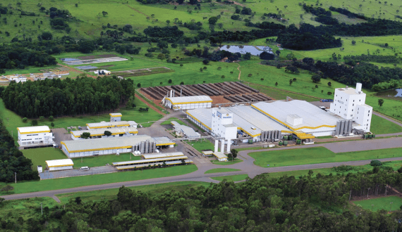 Thumbnail for Arla Foods Ingredients’ infant formula survey prioritizes immunity and healthy growth