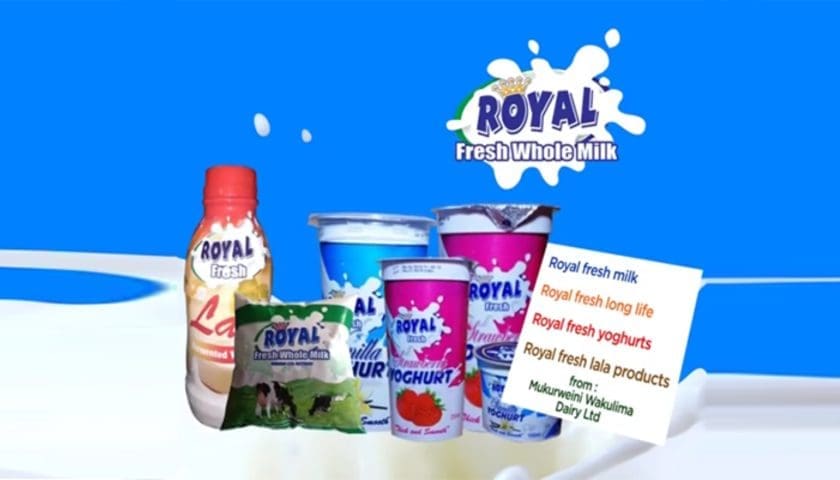 Thumbnail for Wakulima dairy cooperative taps digital tools to boost milk production