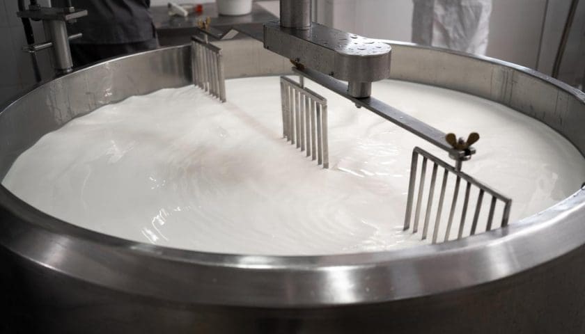 Thumbnail for Pasteurisation proven to halt H5N1 spread in milk – St Jude Children’s Research Hospital reports