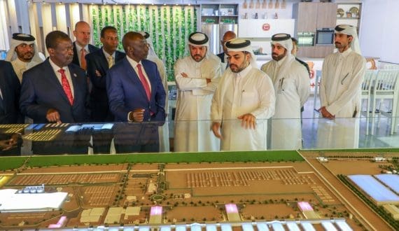 Thumbnail for Brookside scales up support for dairy farmers with sustainable feed program