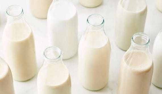 Thumbnail for Britannia to enter ready-to-drink protein beverage market