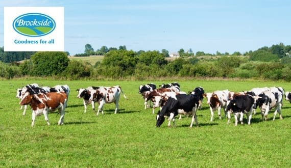 Thumbnail for China faces 42M tonne milk surplus amid declining demand