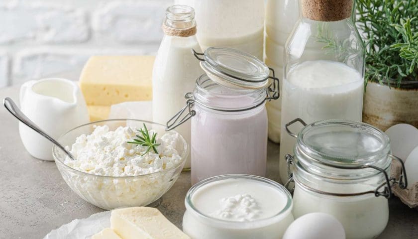 Thumbnail for India opens market for USA dairy amidst trade agreement developments