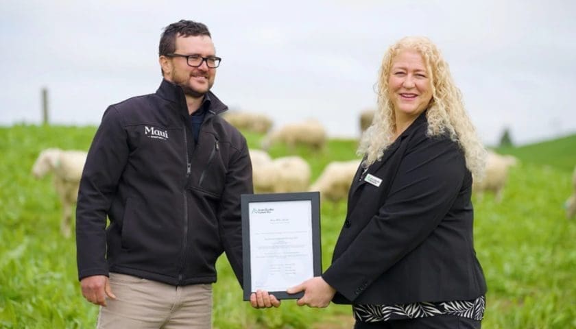 Thumbnail for Maui Milk achieves Grass-Fed Certification