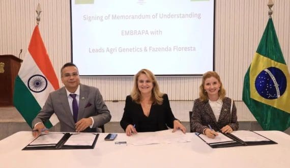 Thumbnail for Lactalis expands with spreadable creamy brie for festive season