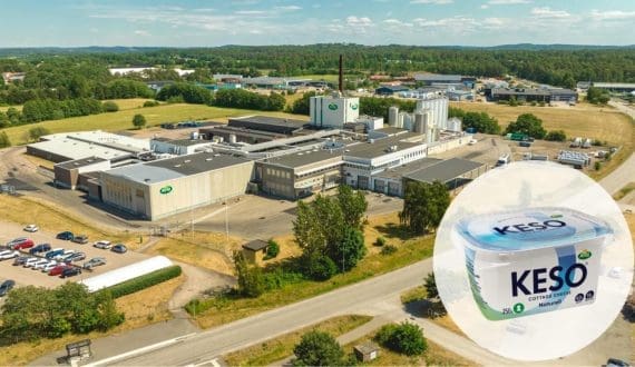 Thumbnail for Arla Foods invests US$7.4M to expand cottage cheese production