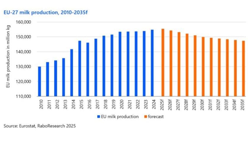 Thumbnail for EU milk supply set to shrink 5% by 2035 – Rabobank reports