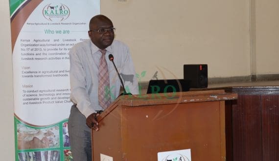 Thumbnail for Brookside Dairy @ 30+ Years: A legacy of dairy excellence in East Africa