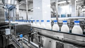 Automation in the Dairy Industry: A Game-Changer for Processing Efficiency