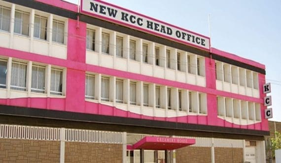 Thumbnail for EU-India trade deal leaves dairy sector unchanged amid high tariffs