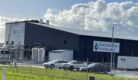 Thumbnail for Burkina Faso to import dairy cows with high genetic potential from Brazil