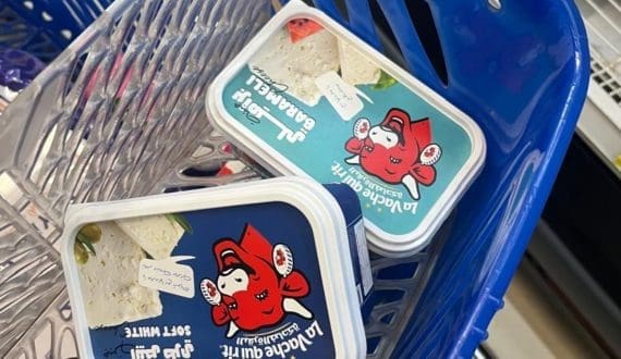 Thumbnail for Australia implements new national breeding objective for dairy genetics