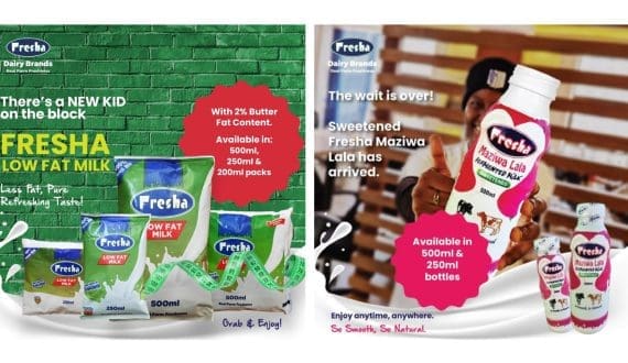 Thumbnail for Kenyan farmers warn decentralising New KCC could weaken dairy market leader