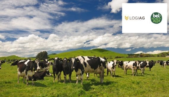 Thumbnail for Fonterra adopts Amcor’s recycle-ready film for cheese packaging