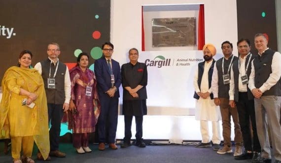 Thumbnail for Saputo USA Recalls Great Value Cottage Cheese Because of Possible Health Risk