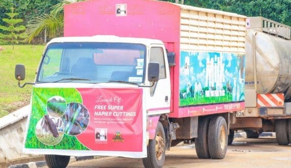 Thumbnail for FanMilk reports revenue US$93.9M of in full year 2025