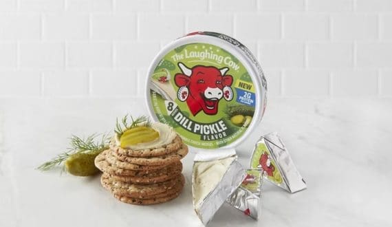 Thumbnail for Kakamega County convenes AI service providers to revitalize dairy breeding