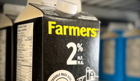 Thumbnail for Agropur recalls multiple milk products across Canada over possible glass contamination