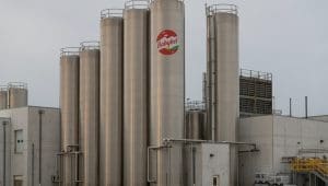 Bel Group breaks ground on US$200M expansion of Babybel facility in USA