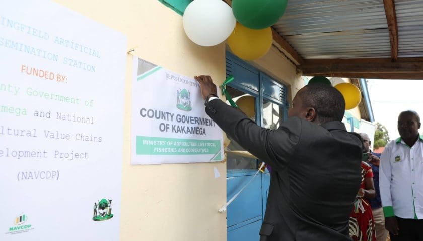 Thumbnail for Kakamega County unveils AI station to strengthen dairy sector