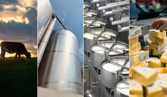 Thumbnail for Cheese snacks market to reach US$33.9B by 2033 – Growth Market reports