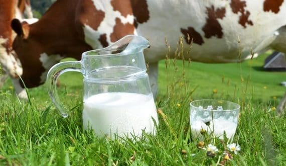 Thumbnail for Grupo Piracanjuba expands Brazilian dairy footprint with new processing hub
