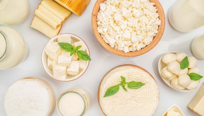Thumbnail for Tanzania plans to develop multiple dairy product standards