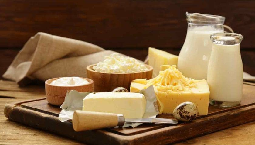 Thumbnail for Algeria surpasses Brazil as Uruguay’s leading dairy export market in 2025