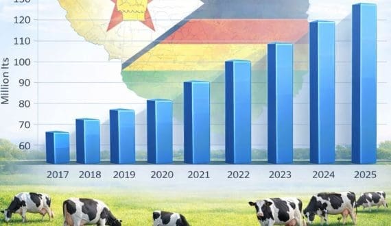 Thumbnail for Zambia adds milk to school feeding program to boost nutrition