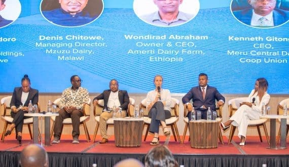 Thumbnail for Africa’s Dairy industry at a turning point: Innovation, integration, and food security into the future