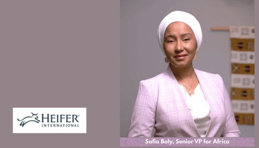 Thumbnail for Heifer International appoints Safia Boly to lead Africa programmes