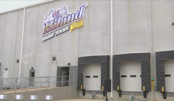 Thumbnail for Froneri expands portfolio with new ice cream