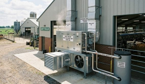 Thumbnail for Aurivo invests US$13.92M in pioneering wood pellet energy system