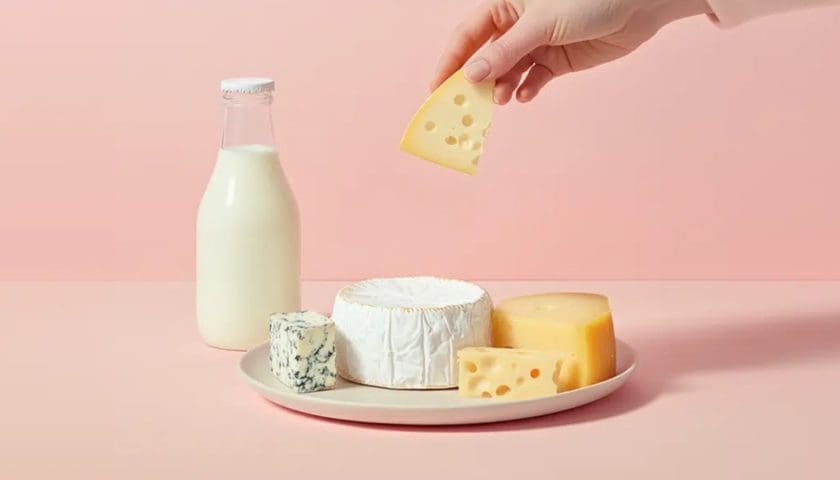 Thumbnail for Standing Ovation secures US$34.2M series B for sustainable dairy production