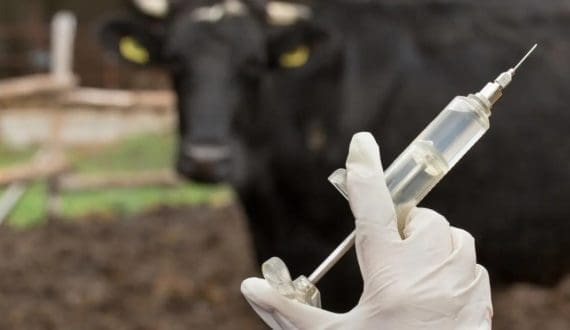 Thumbnail for Fonterra bets big on China’s dairy future