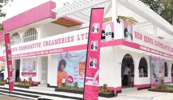 Thumbnail for New KCC reports US$7.38M loss in year 2025