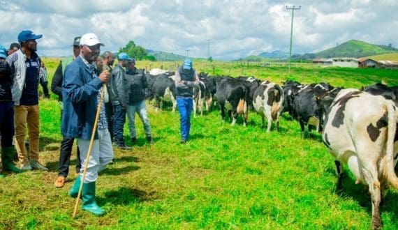 Thumbnail for South Africa secures Argentina partnership to strengthen FMD response