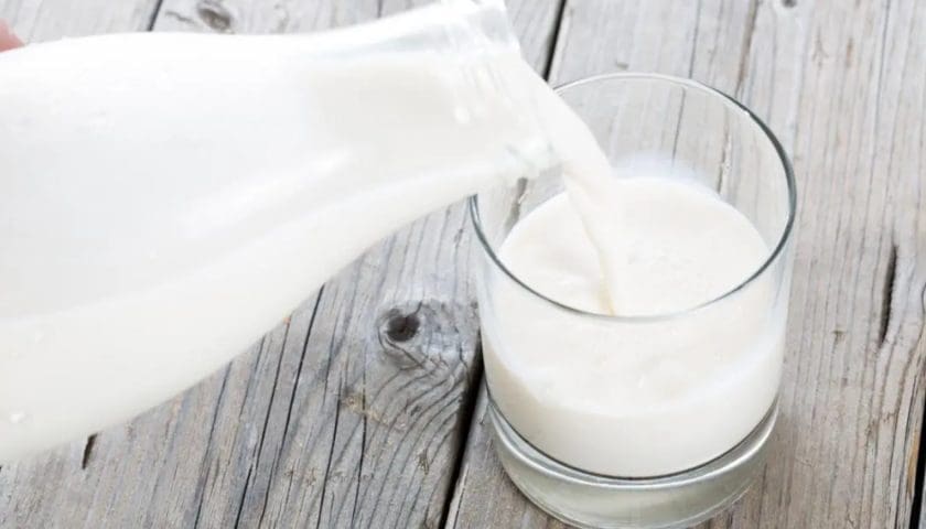 Thumbnail for Uganda’s milk production reaches 5.4 billion litres